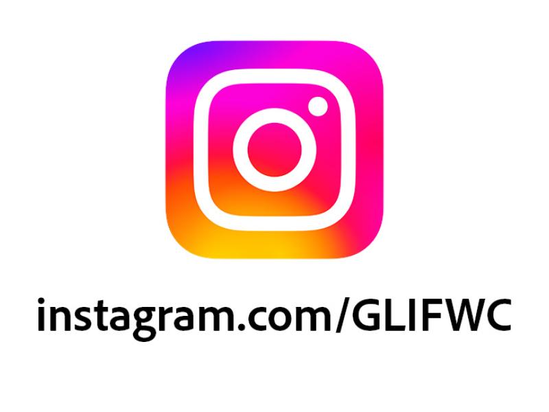 Instagram Logo